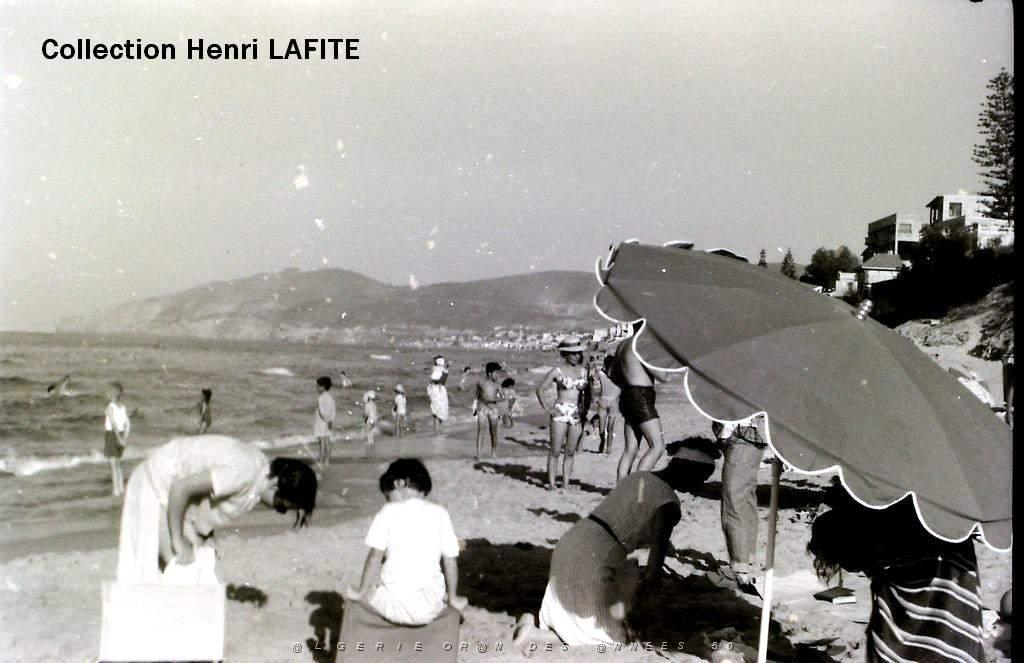 Oran- SDV- 2063- Lafite.JPG